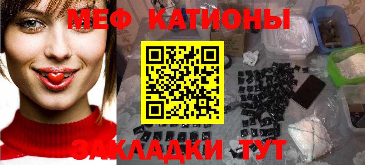 Реутов  МЯУ-МЯУ мяу мяу  Вход с VPN 