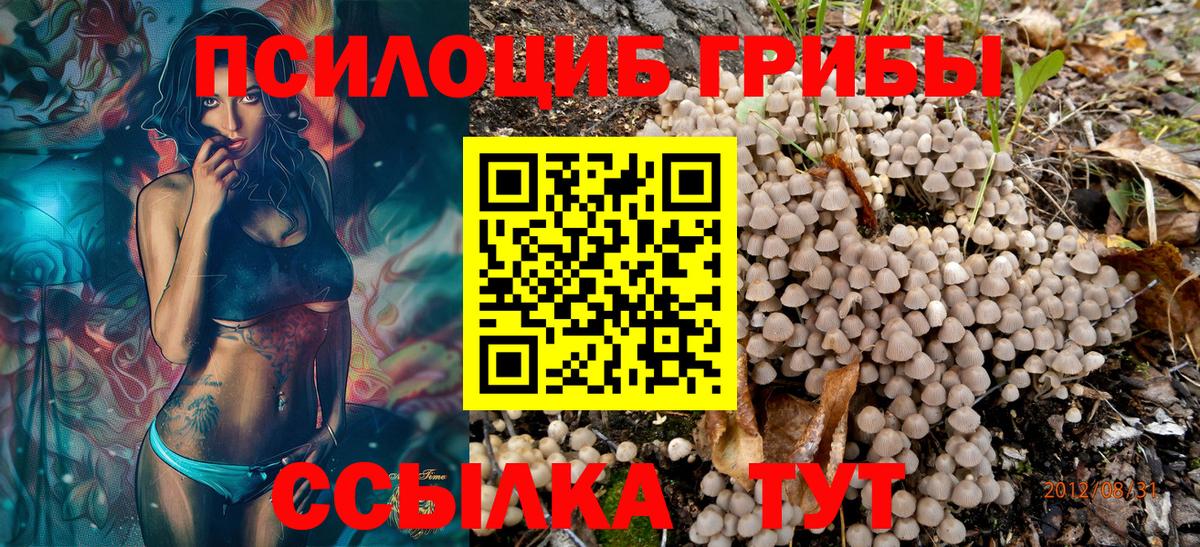 Галлюциногенные грибы мицелий  Вход с VPN  Реутов 